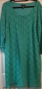 Green Knee Length Lace Dress